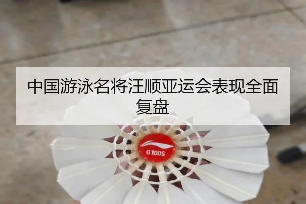 中国游泳名将汪顺亚运会表现全面复盘